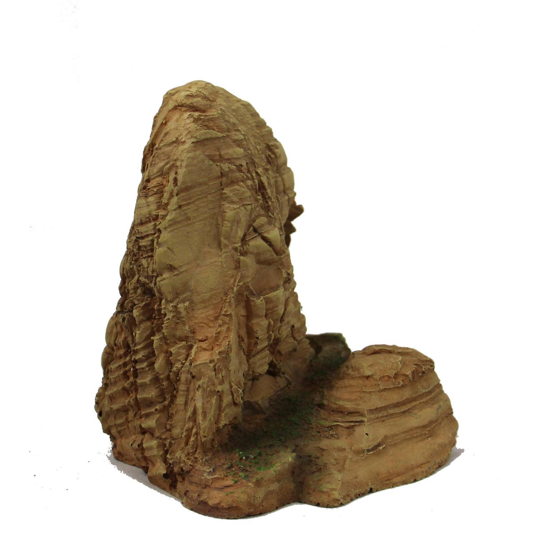 product/r/e/reptiles-planet_rp876188_marron_4.jpg