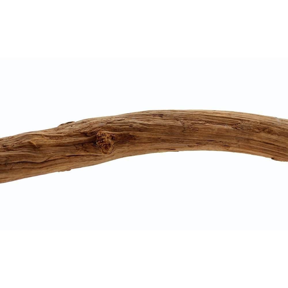 product/r/e/reptiles-planet_rp890240_marron_1.jpg