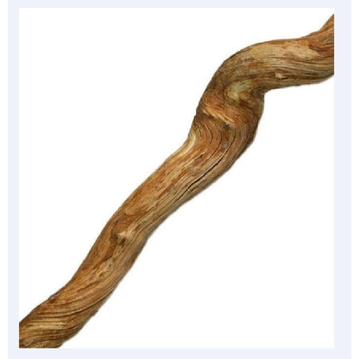 product/r/e/reptiles-planet_rp890240_marron_2.jpg