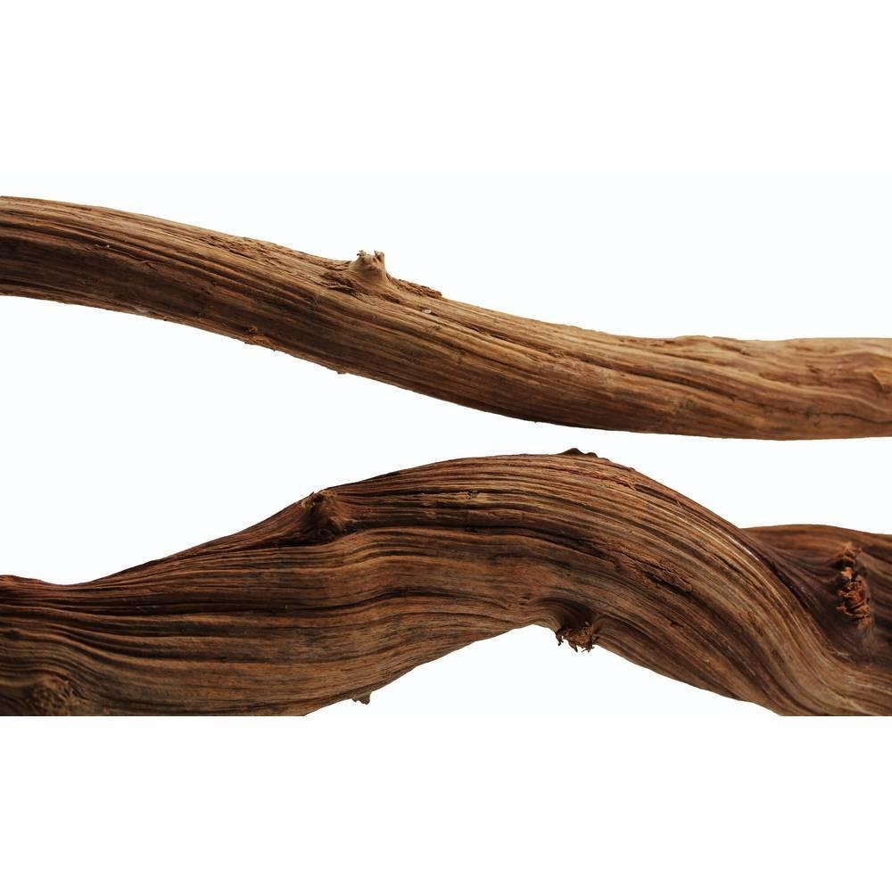 product/r/e/reptiles-planet_rp890240_marron_3.jpg