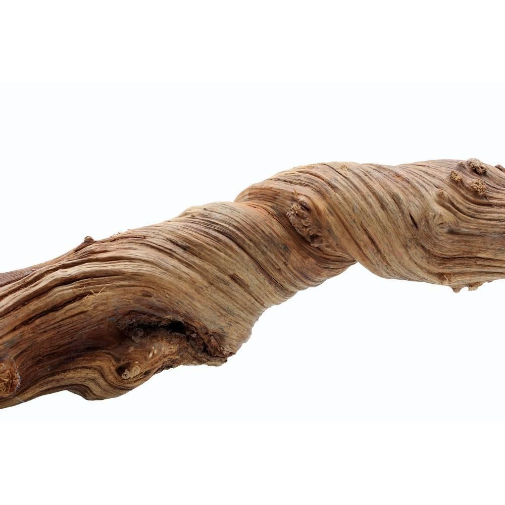product/r/e/reptiles-planet_rp890285_beige_1.jpg