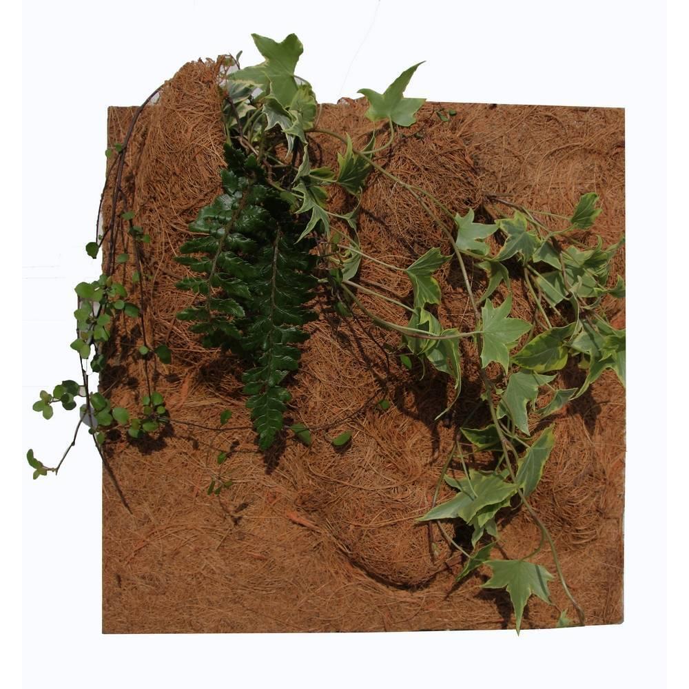 product/r/e/reptiles-planet_rp890550_marron_3.jpg