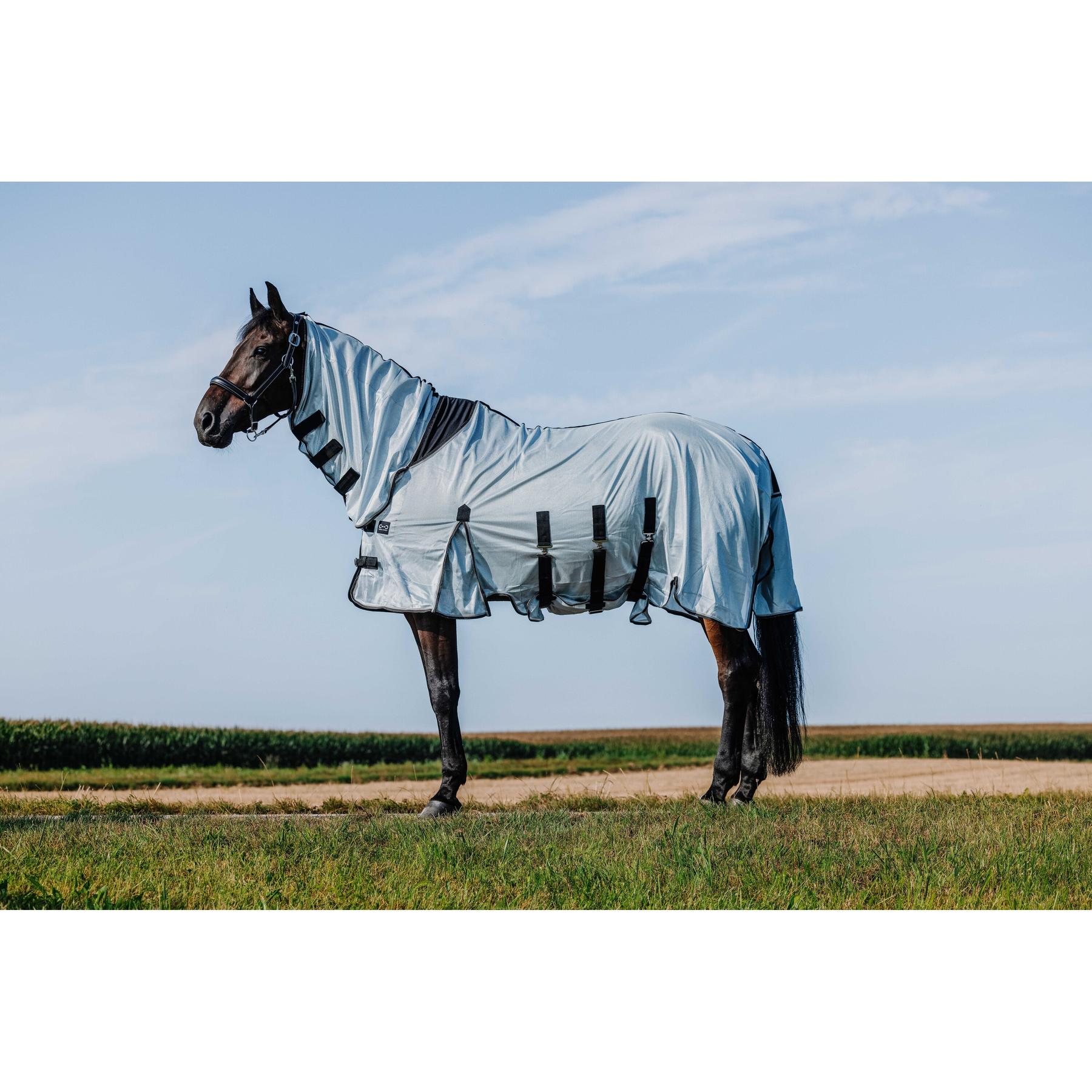 product/r/i/riding-world_400724056_gris_1.jpg