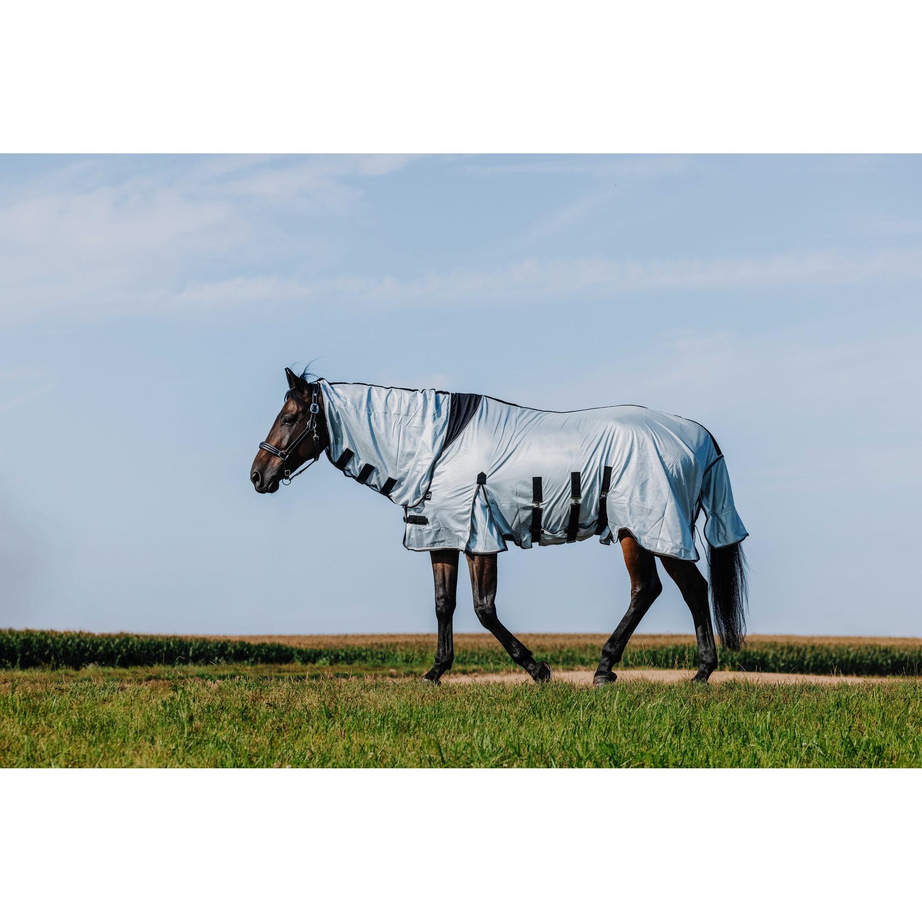 product/r/i/riding-world_400724056_gris_2.jpg