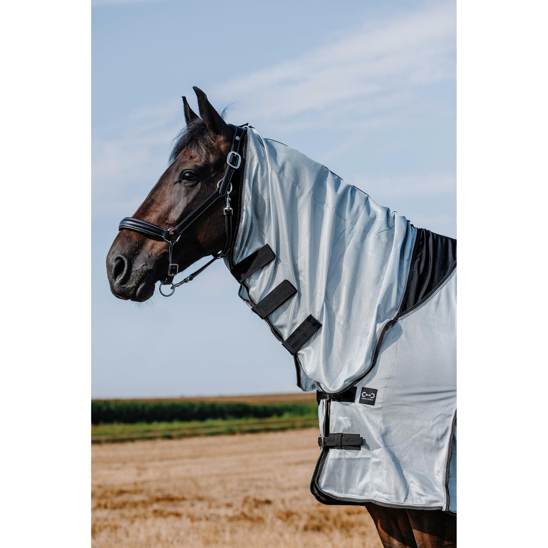 product/r/i/riding-world_400724056_gris_3.jpg