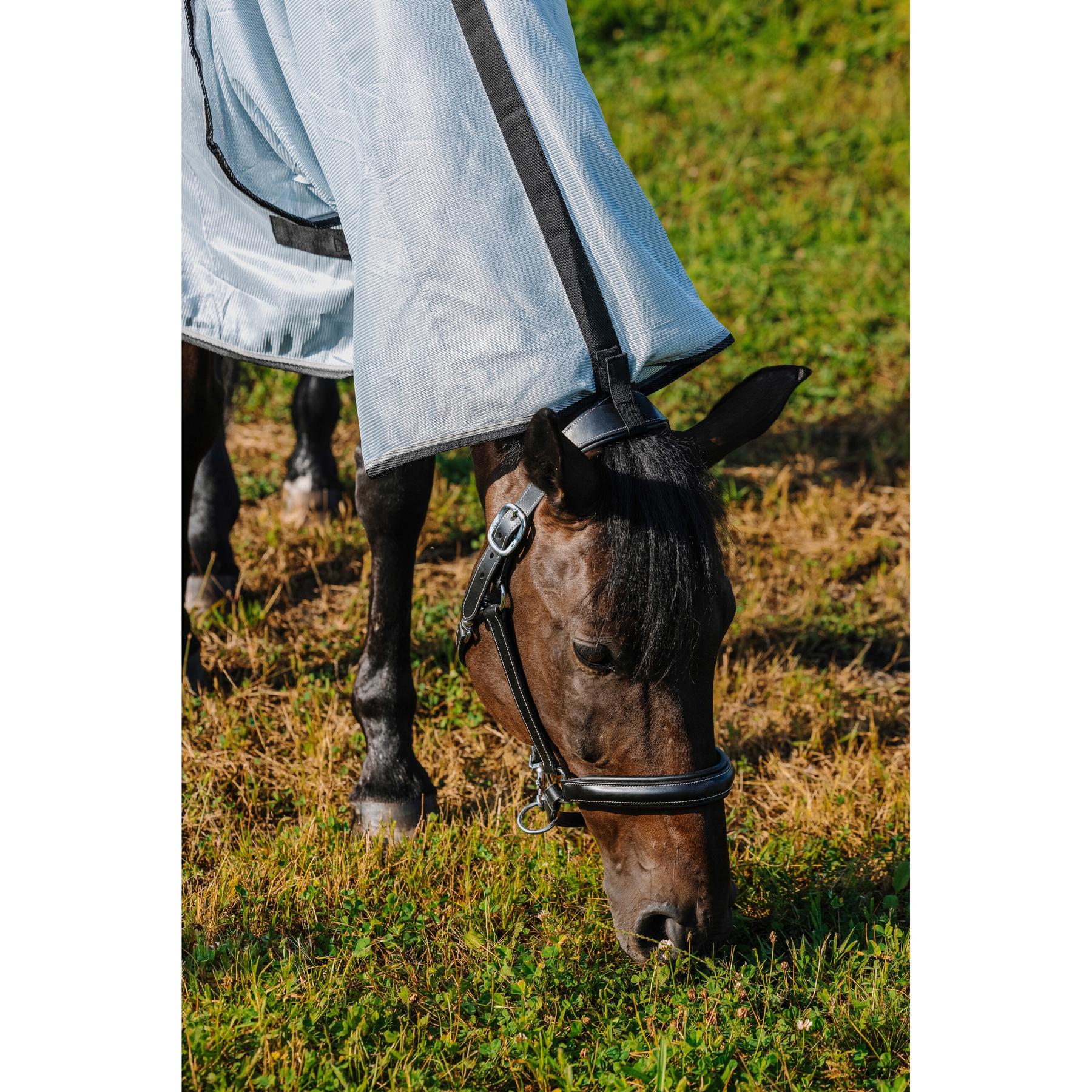 product/r/i/riding-world_400724056_gris_4.jpg