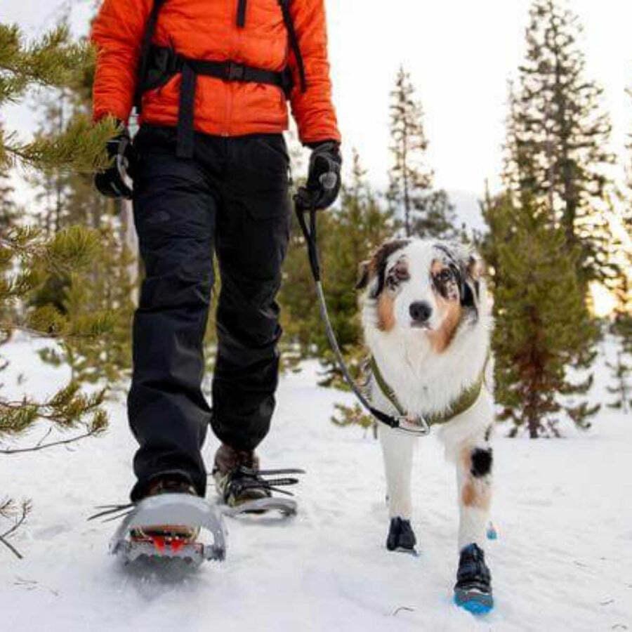 product/r/u/ruffwear_p15302-001150_obsidian-black_5.jpg