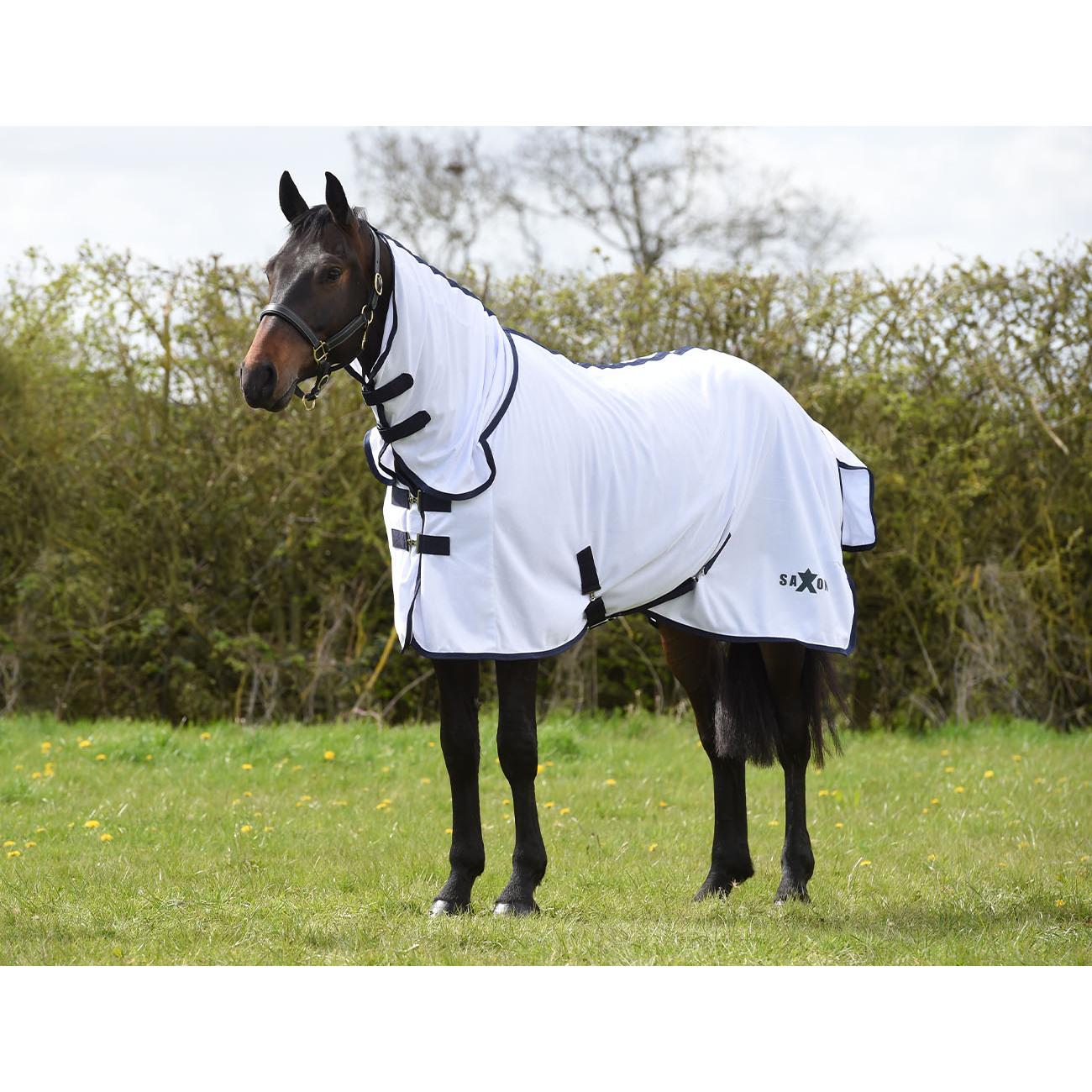 product/s/a/saxon_1002942016_white-navy_1.jpg