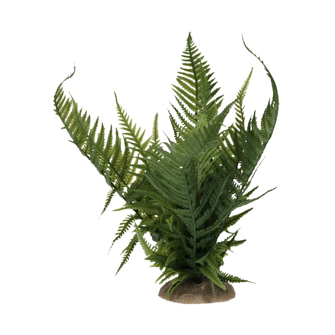 product/t/e/terra-della_243-482780_0.jpg