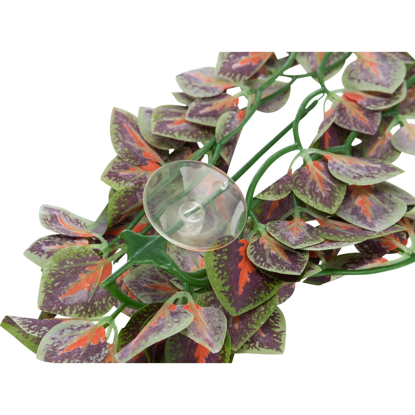 product/t/r/trixie_76245_violet_2.jpg