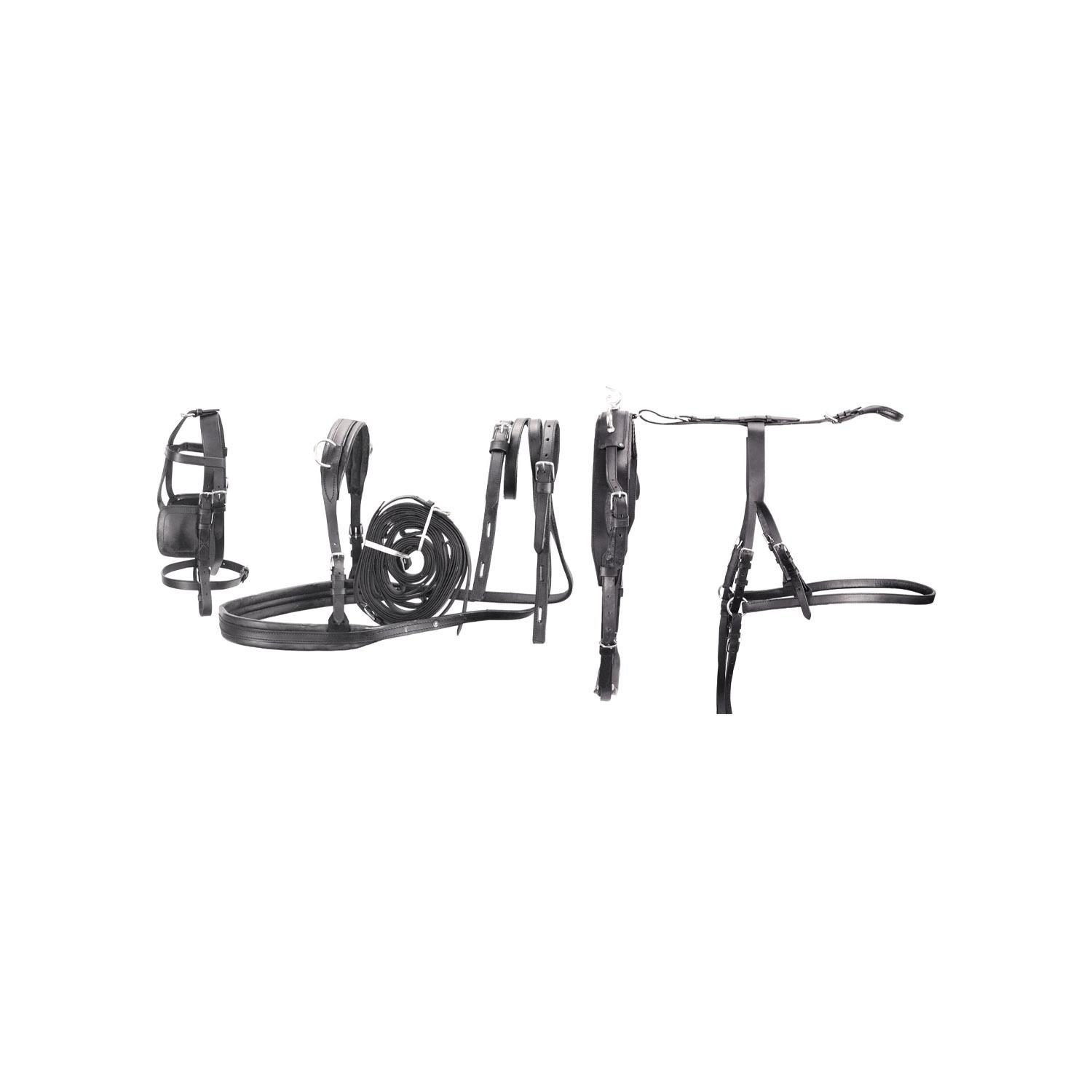 product/u/m/umbria-equitazione_se00570_noir_1.jpg
