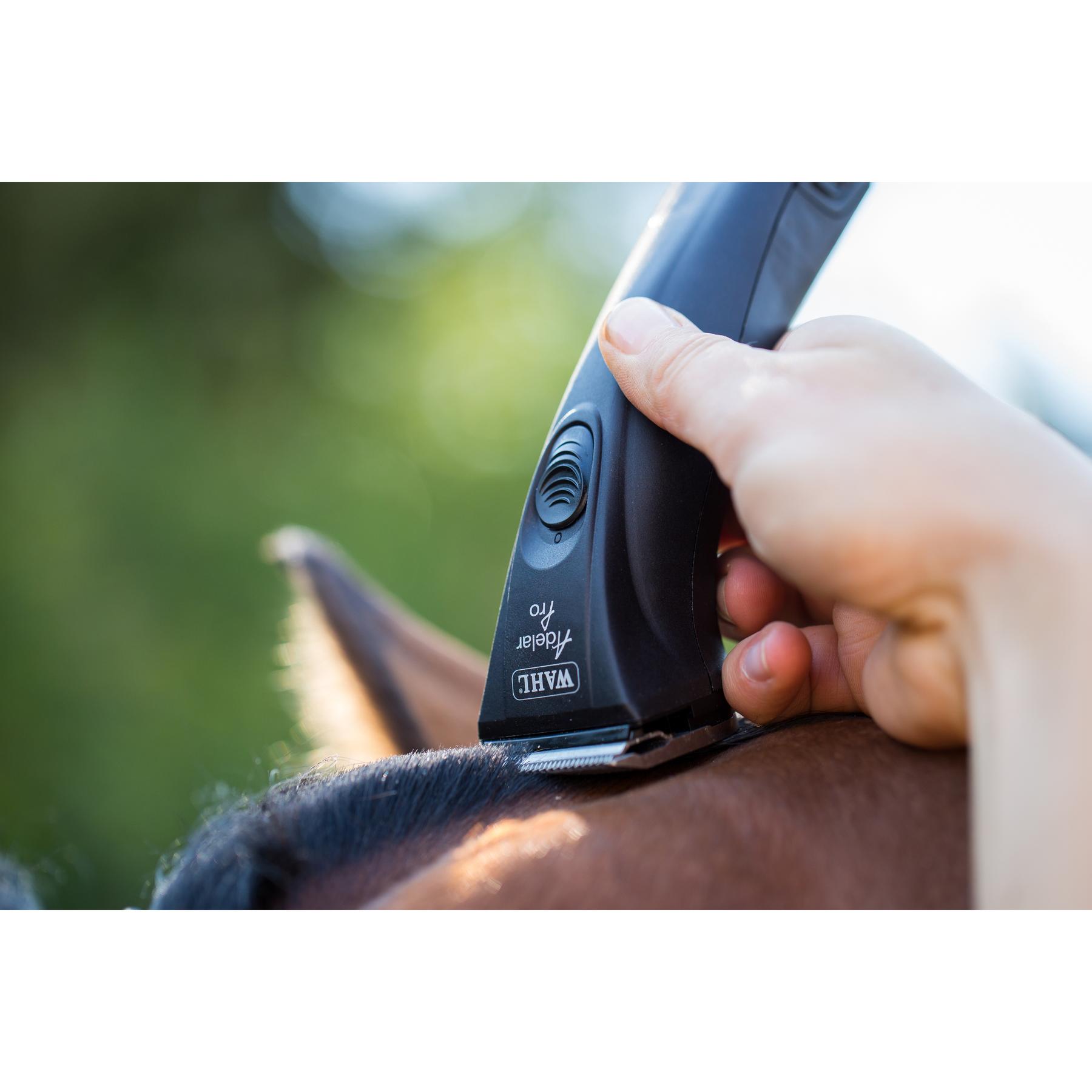 product/w/a/wahl_350434_1_1.jpg