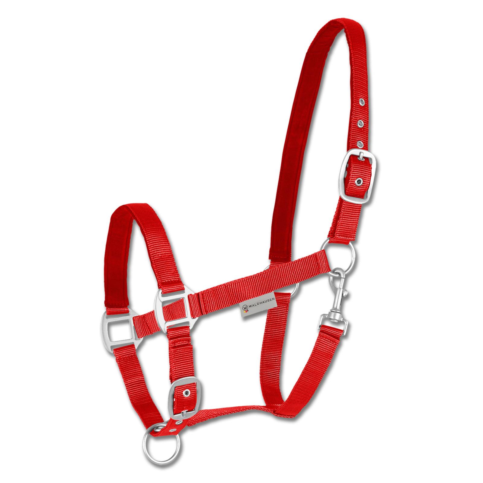 product/w/a/waldhausen_502504.jpg