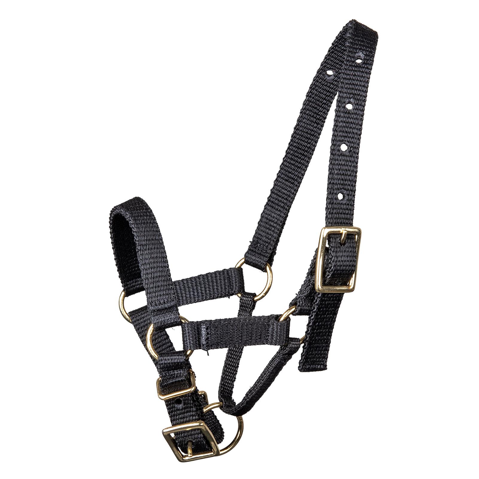 product/w/a/waldhausen_5049101-l_noir_1.jpg