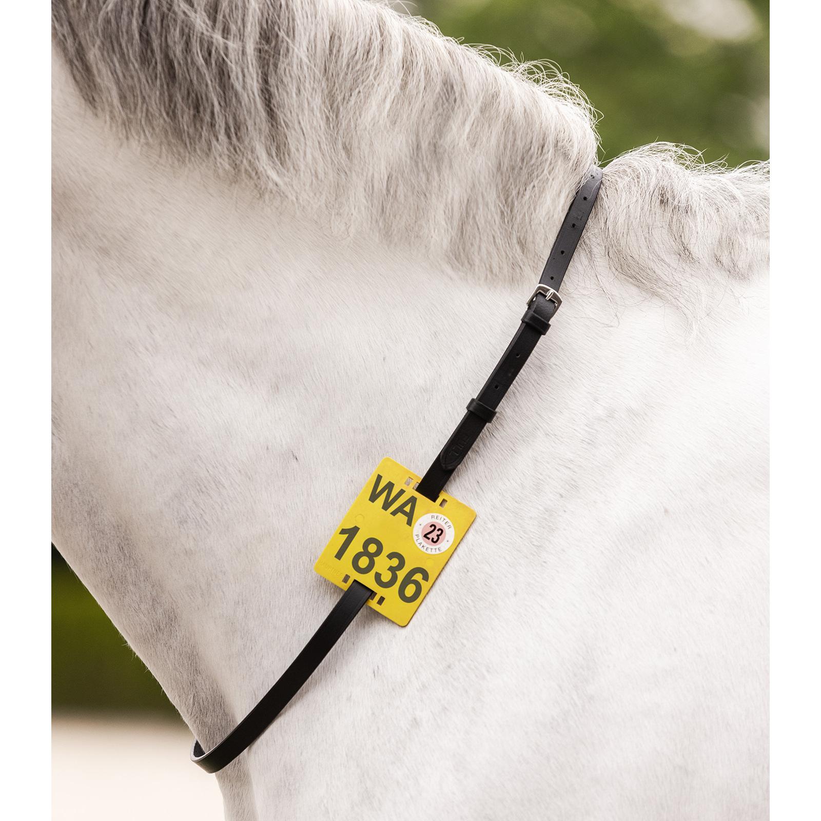 product/w/a/waldhausen_817901-pon_2.jpg