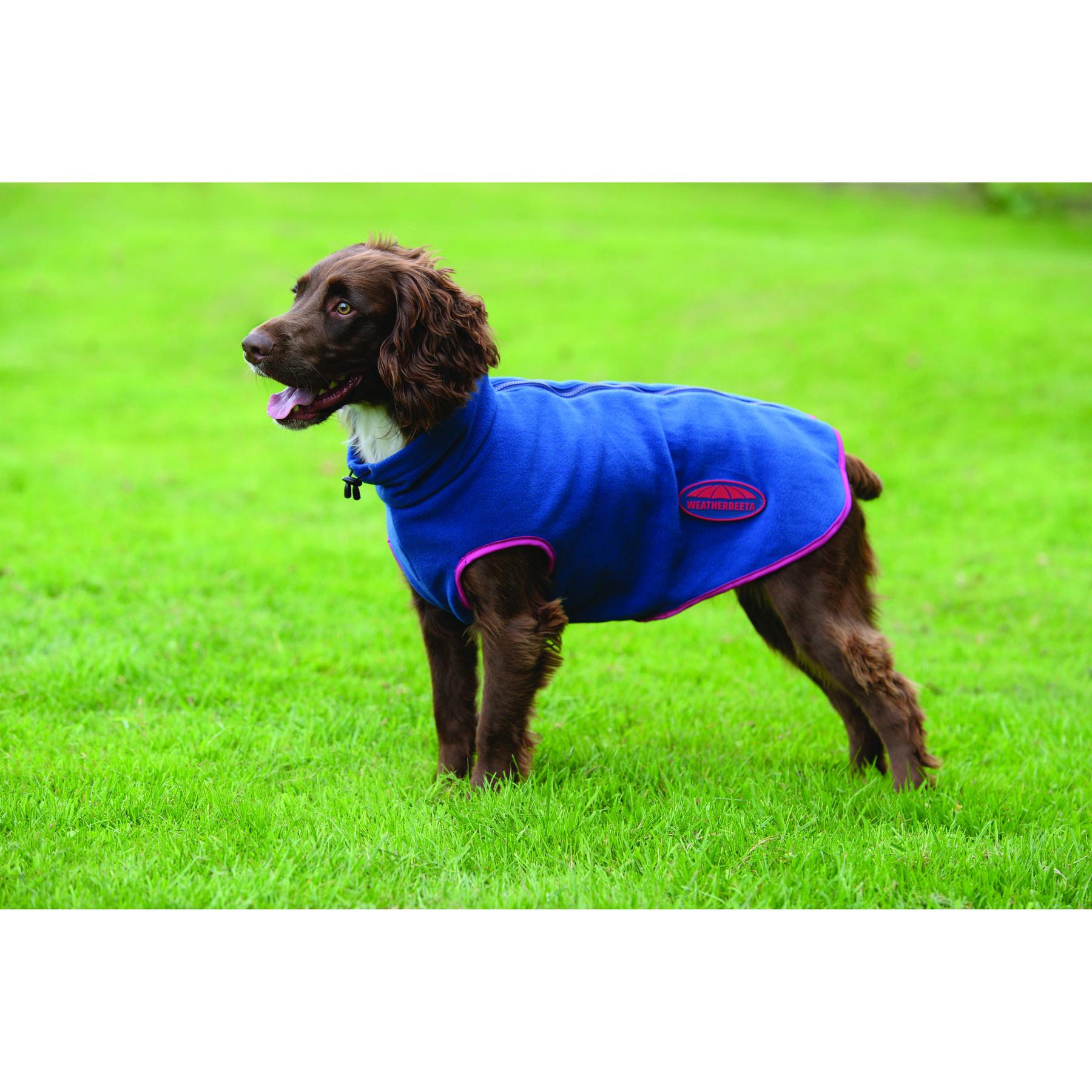 product/w/e/weatherbeeta_1003457035_5.jpg