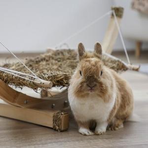 ANIMAUX