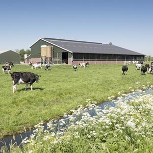 La Ferme