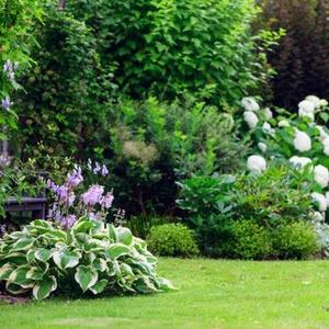 Plantes et Nature