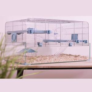 Cages rongeurs