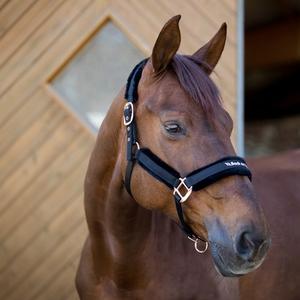 Cheval