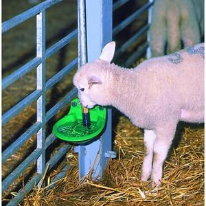 Alimentation et abreuvoirs