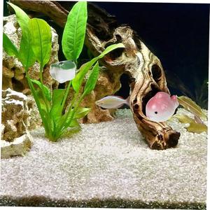 Accessoires d’aquarium