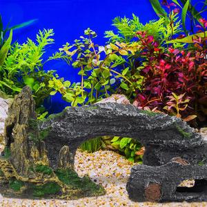 Accessoires du terrarium 