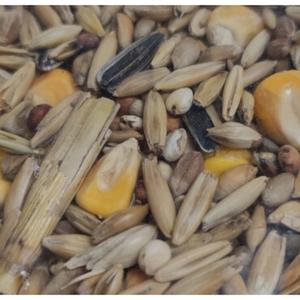Alimentation et compléments