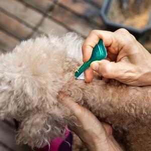 Antiparasites et répulsifs