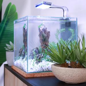 Aquariums et meubles