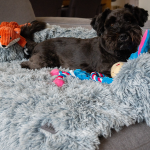 Tapis et plaids