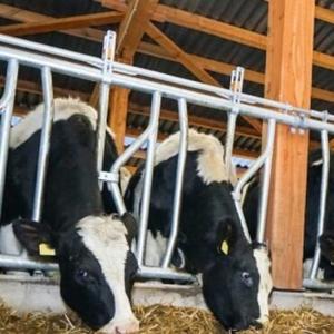 LA FERME