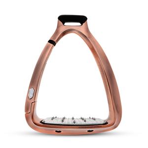 shield-rup-pink-gold-etriers-equitation-samshield-shield-rup-gold-tu
