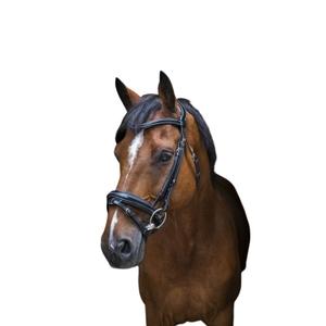 307702202-bridons-equitation-pour-cheval-pur-sang-eric-thomas-pro-design-noir-pur-sang