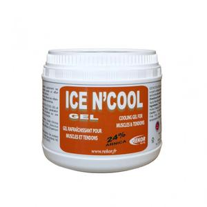 385105-gel-d-arnica-rafraichissant-apres-effort-cheval-rekor-icen-cool-gel-blanc-orange-500-g