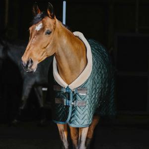 40082596-couverture-d-exterieur-en-velours-pour-cheval-equitheme-teddy-150-g-vert