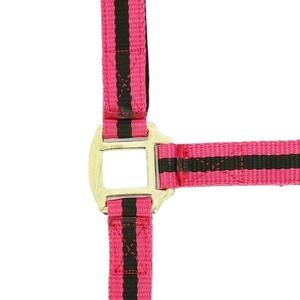 510185352-licol-pour-cheval-norton-double-cuir-framboise-noir