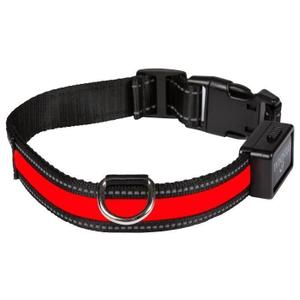 ngcollum01-collier-pour-chien-lumineux-rechargeable-usb-eyenimal-rouge-null