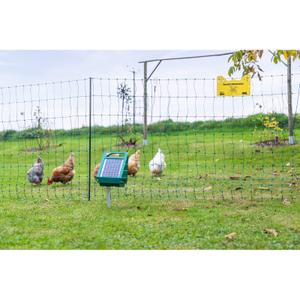 292420-filet-pour-volailles-double-pointe-electrif-ako-premium-vert-50-m-x-106-cm