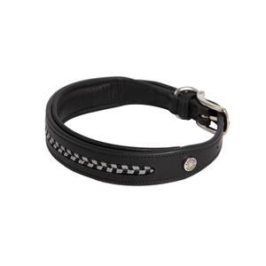 ad-collar-noir-black-silver-collier-pour-chien-en-cuir-antares-noir-black-silver