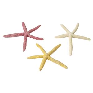234-418918-decoration-d-aquarium-aqua-della-starfish-mix-multicolore-10x10x1-1-cm