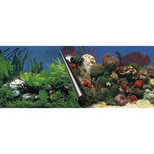 241-108833-poster-fond-d-aquarium-aqua-della-stone-coral-multicolore-31x4x4-cm