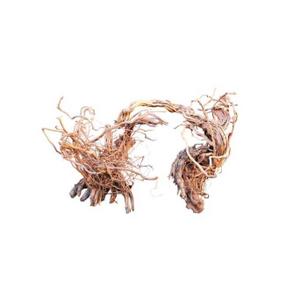 ant111525v1-decoration-pour-aquarium-racine-aquavie-curlivigne-extra-v1-beige-tu