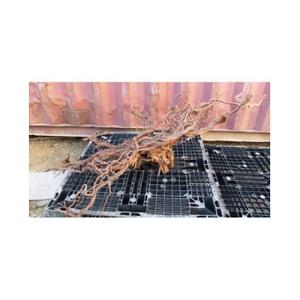 product/a/q/aquavie_ant111525v1_beige_3.jpg