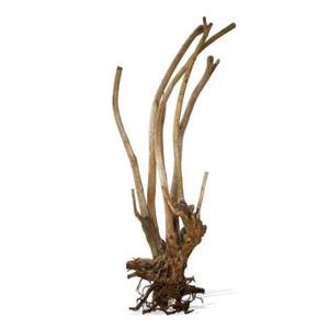 av112003-decoration-pour-aquarium-aquavie-vigne-three-rare-xxl-beige-tu