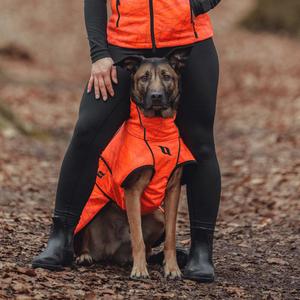 product/b/a/back-on-track_32283530_orange_2.jpg