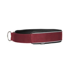 340248-collier-pour-chien-back-on-track-charlie-bordeaux