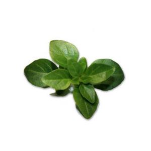 product/b/i/bioponis_bio30104g_marron_2.jpg