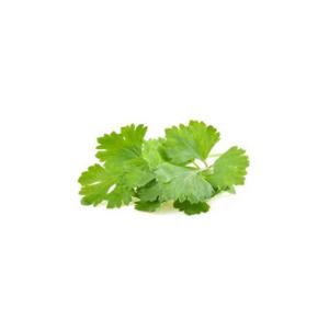product/b/i/bioponis_bio30114g_marron_2.jpg